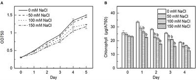 Salt Stress Induces Paramylon Accumulation and Fine-Tuning of the Macro-Organization of Thylakoid Membranes in Euglena gracilis Cells